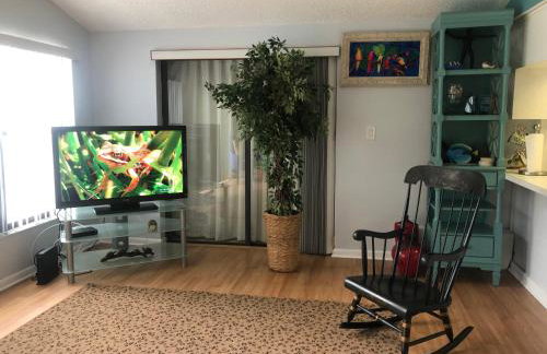 Florida Condos on Lake Tarpon - Foto 5