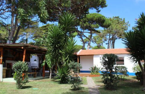 Casinha do pinhal - Foto 6