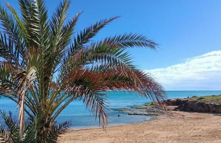 Apartamento Emperador, Pinada Beach, La Mata, Torrevieja - Foto 49