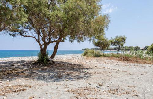 Aadonis traditional house on the Sea - Photo 36