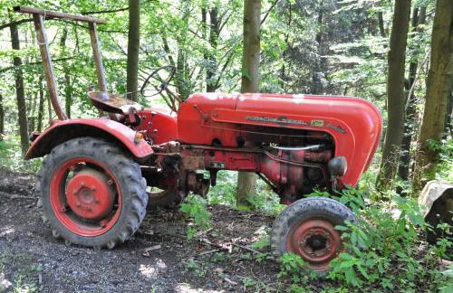 Schlossberghof - Foto 23