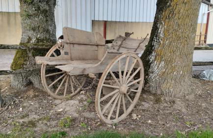 Gite N 4 du Bas Coudreau - Foto 24