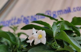 casettafagagna - Photo 14