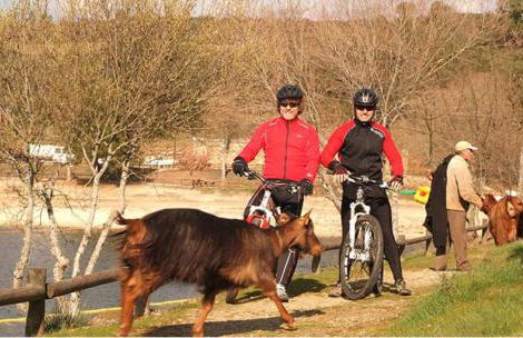 Casa de Campo - Vila Boa - Foto 25