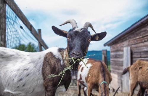 Società Agricola Cacigolara - Photo 101