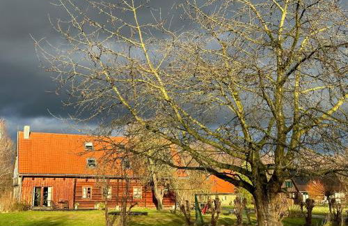 Liljas Haus im Spreewald - Foto 8