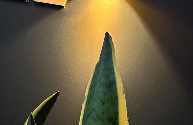 KLT Blloku Center - Foto 39