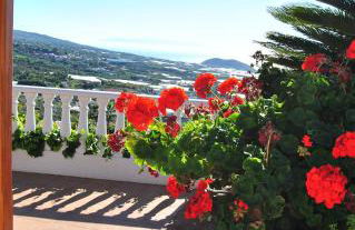 Casitas Rosheli - Foto 43