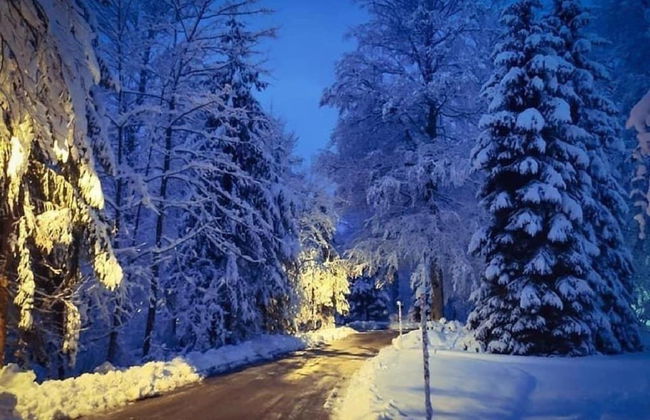 Holiday Home Snow Hill - Foto 19