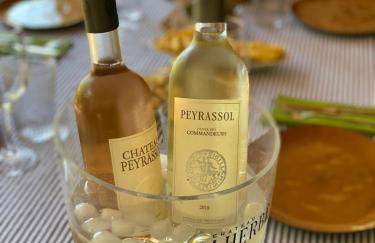 Villa Claudia Domaine les Palmiers - Foto 2