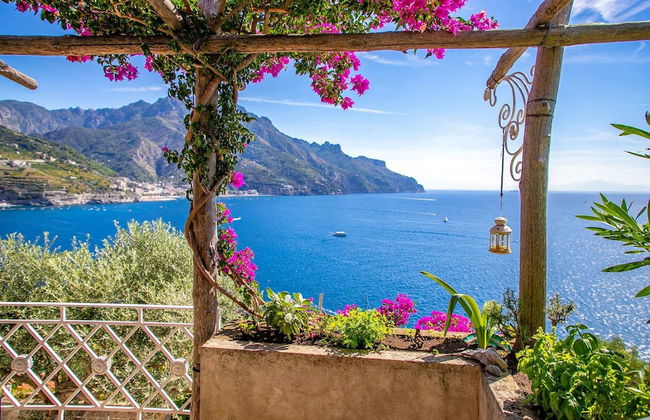 Star Fish House - Foto 22