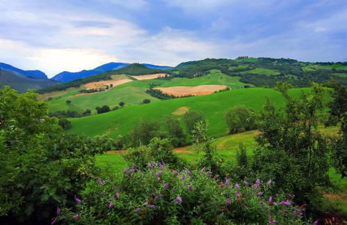Agriturismo Ca' le Suore - Foto 131