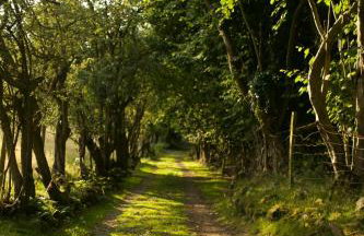 Two unique cabins wrapped in beautiful welsh scenery - Foto 80