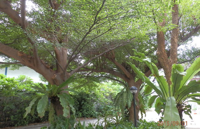 Sandy Serviced Apartment - Foto 58