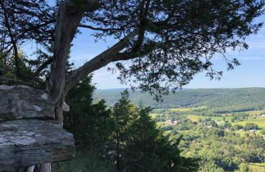 Small Town Hideaway - Photo 3