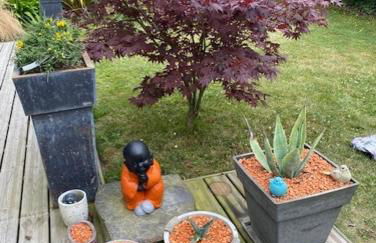 Belle Grange en baie du Mont St Michel - Foto 18