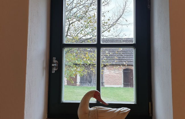 Ferienhof Mochowsee - Photo 24