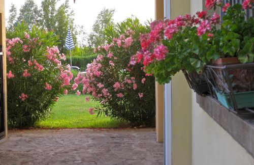 Agriturismo Corte Carezzabella - Foto 49