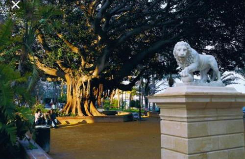 The Terrace Canalejas - Foto 27