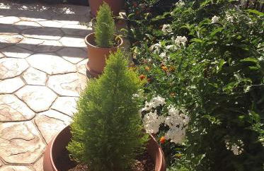 Villa Rafailia - Foto 80