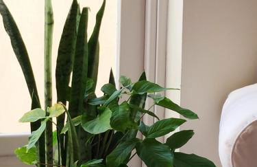 Benavides 5 - Foto 48