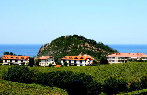 Usotegi Agroturismo - Foto 99