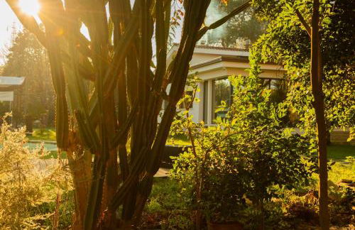 ALFA COUNTRY HOUSE Villa Salento - Foto 13