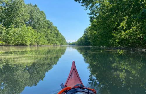 La Casetta - Foto 24