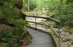 Family Suites & Parking - Foto 42