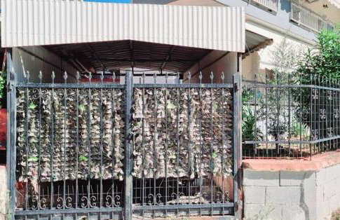 Frida's Urban Escape - Foto 16