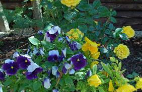 La casetta rossa - Foto 30