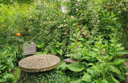 Nähe Nationalpark - Foto 12