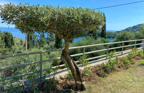 Paleopetres K-Three - Premium Double Suite - Kalami - - Photo 44