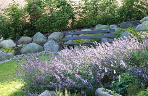 U Aptekarzy - Foto 33