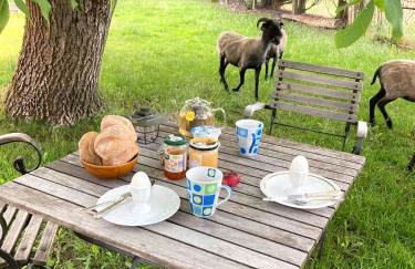 Suiten - Schlamau19 - Foto 47