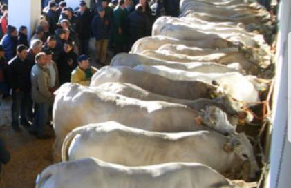 Moncalvo in Relax - Foto 32