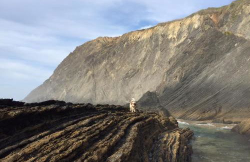 Casinha da Cabra, Casas do Poente, Rogil, Aljezur - Photo 38