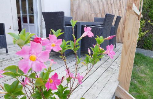 Le Chat Qui Veille - Photo 30