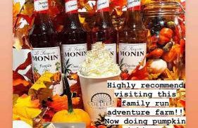 Lodge with log burner Contractors business private parking free Wi-Fi near M4 - Foto 73