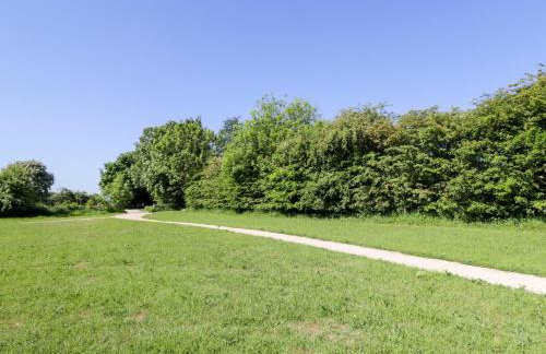 Blackthorn - Photo 16