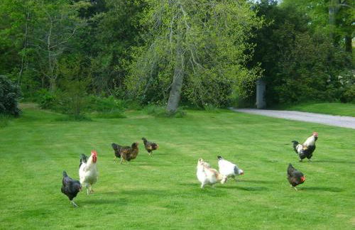 The Forest Country House B&B - Foto 27