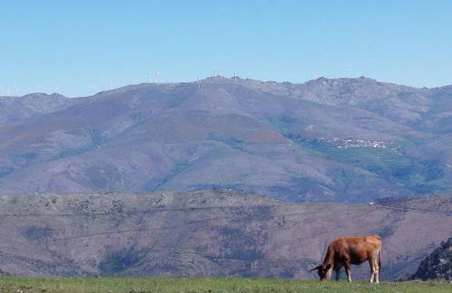 Casa do Avô Zé - Foto 9