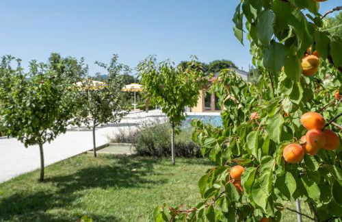 Vecchi Maestri Luxury Adults Only Apartments with Breakfast - Foto 52