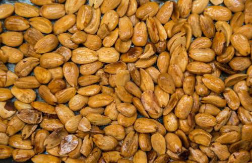 Casa de Casal de Loivos - Foto 63