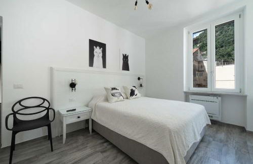 Il gatto Franco - Photo 42