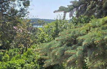 Apartament Ruś Mazury - Foto 18