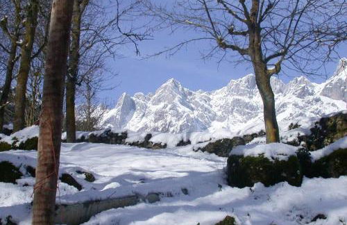 AIRE DE MONTAÑA - ESTUPENDAS VISTAS A LOS PICOS - Foto 31