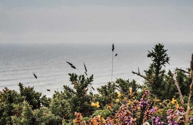 Number Seven - Foto 38