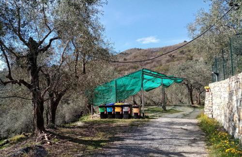 Agrisport Cà di Cuni - Foto 52