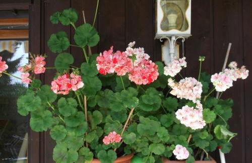 Ferienwohnung Haulle, Kreuth-Scharling am Tegernsee - Foto 25